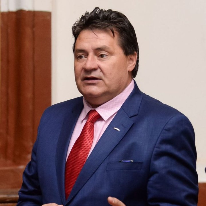 Alin Lupu, Președinte